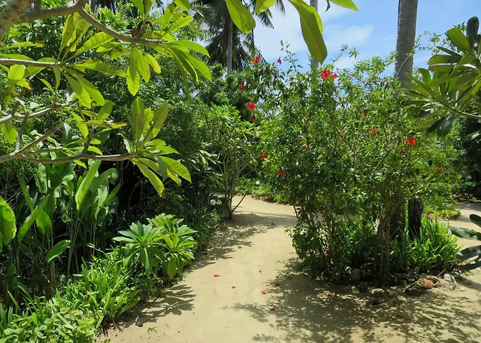 Seaflower Bungalows