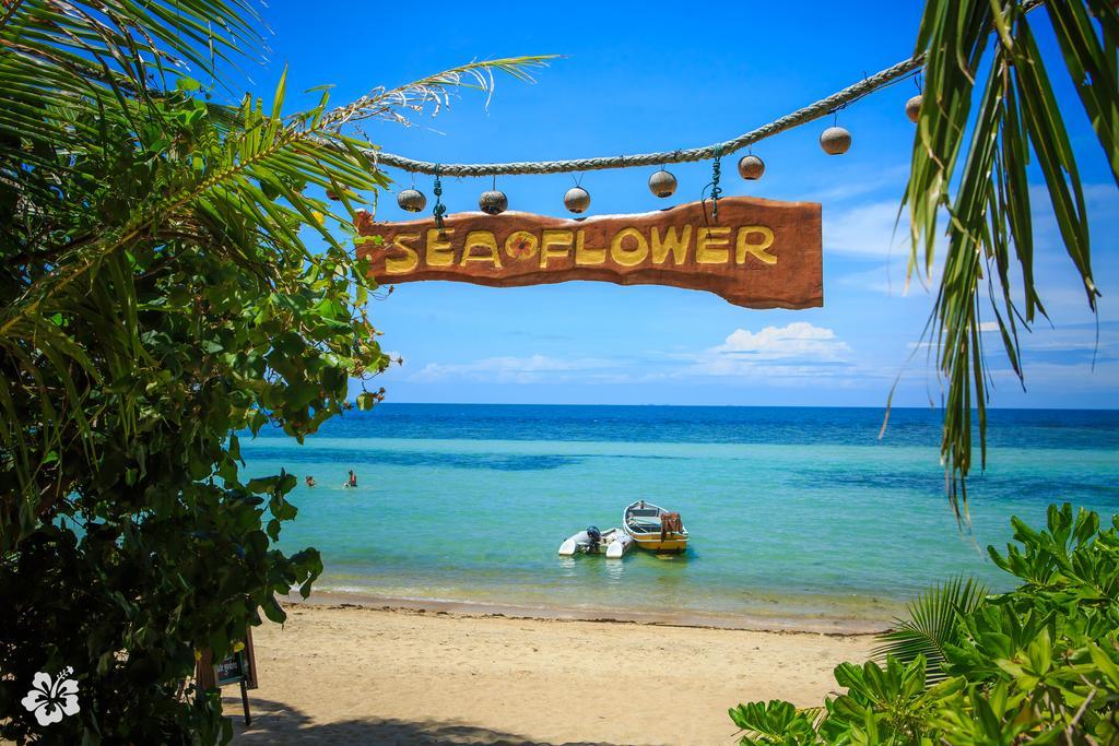 Seaflower 3* Шритану